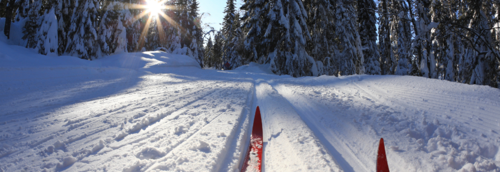 Skikarusellen i Kristiansand - 6. renn